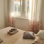 Cozy & Bright In * 斯普利特