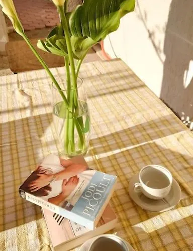 Cozy & Bright In Split